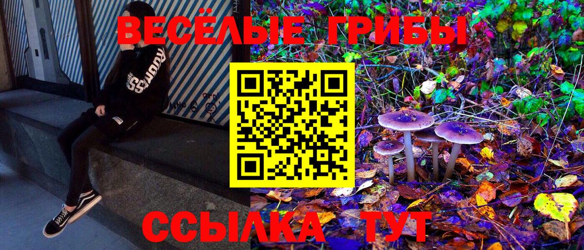 Галлюциногенные грибы Psilocybe  Вход с VPN  Нарткала 