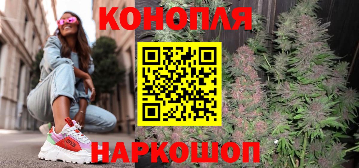 Конопля план  Вход с VPN  Канабис сатива  Нарткала  Марихуана семена 